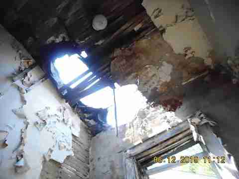 11847 Rosemary (28)_m.jpg